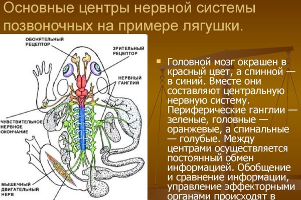 Сайт кракена в торе